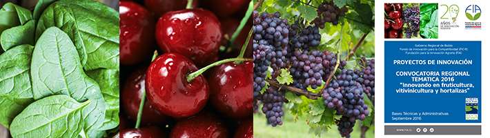 CONVOCATORIA Región del Biobío	 “Innovando en fruticultura, vitivinicultura y hortalizas”