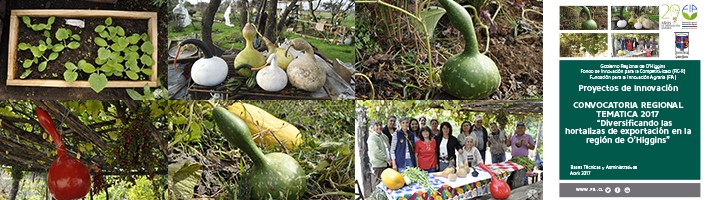 CONVOCATORIA REGIONAL TEMÁTICA 2017  “Diversificando las hortalizas de exportación en la región de O’Higgins”