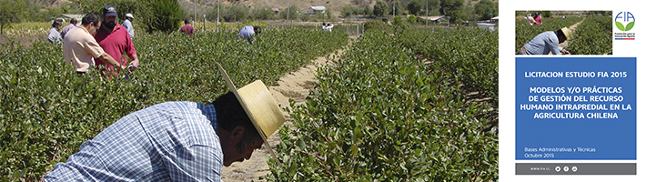 Licitación Estudio Modelos y/o prácticas de gestión del recurso humano intrapredial en la agricultura chilena