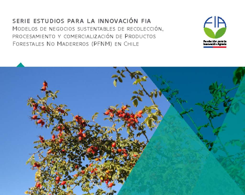thumbnail of Modelos de negocios sustentables de recolección procesamiento y comercialización de Productos Forestales No Madereros en Chile