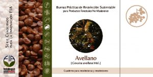 thumbnail of Avellano