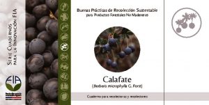 thumbnail of Calafate
