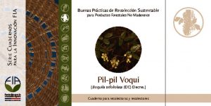 thumbnail of Pilpil Voqui