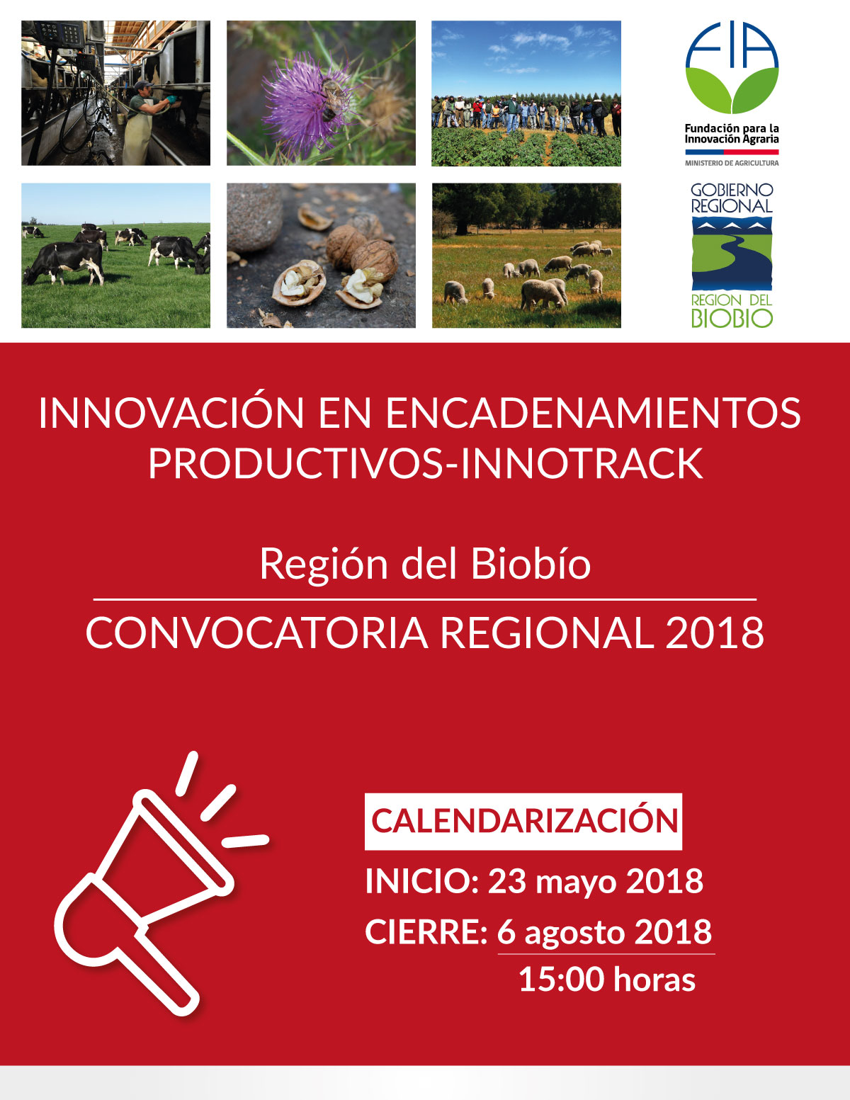 Convocatoria Regional: Proyectos de Innovación en Encadenamientos Productivos-Innotrack, Biobío 2018