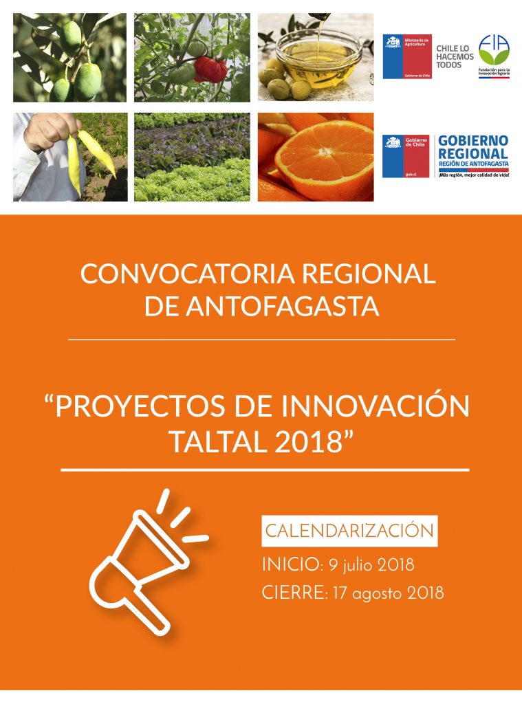 Concurso Regional Proyectos de Innovación Taltal 2018