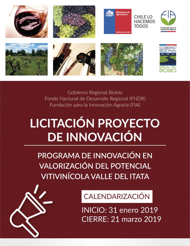 Licitación Proyecto de Innovación «Programa de Innovación en Valorización del Potencial Vitivinícola Valle de Itata»