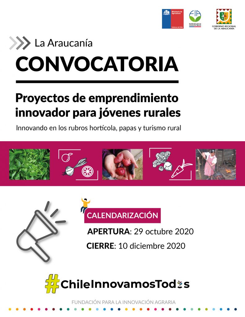 Proyectos de emprendimiento innovador para jóvenes rurales Región de la Araucanía