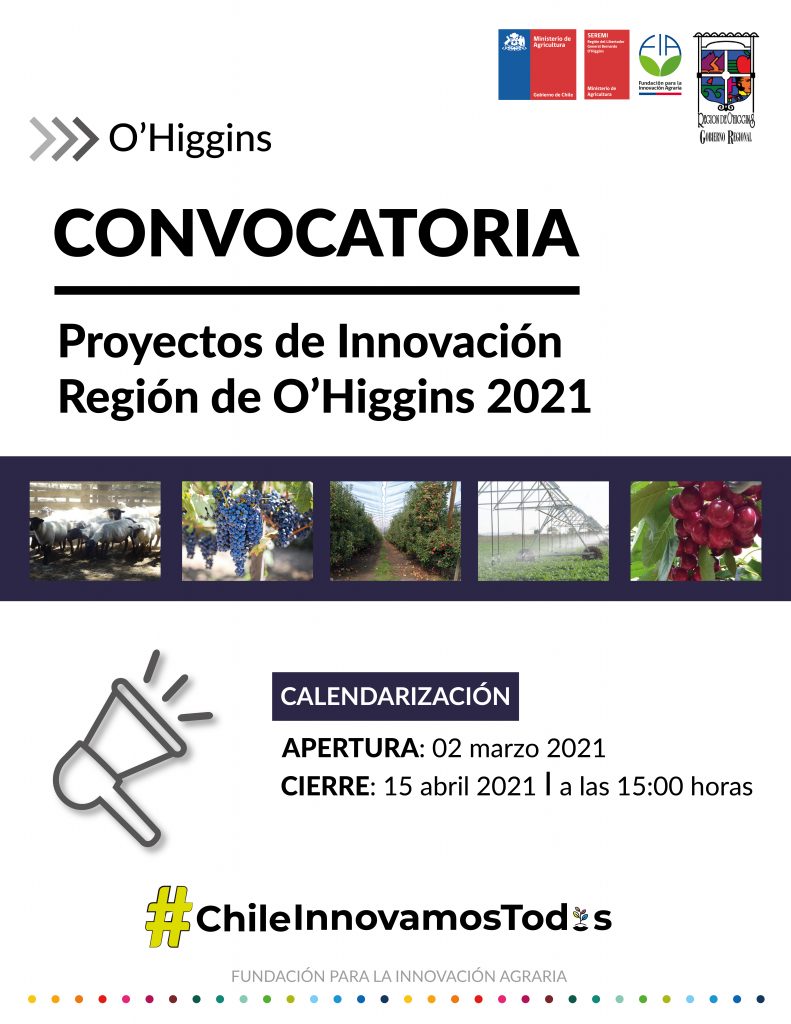 Concurso Regional Proyectos de Innovación Región de O´Higgins