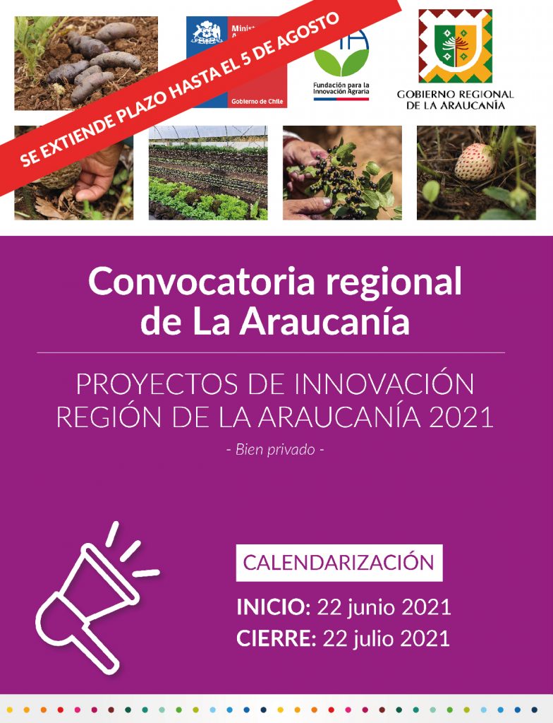 Convocatoria Regional de La Araucanía. Proyectos de Innovación región de La Araucanía 2021