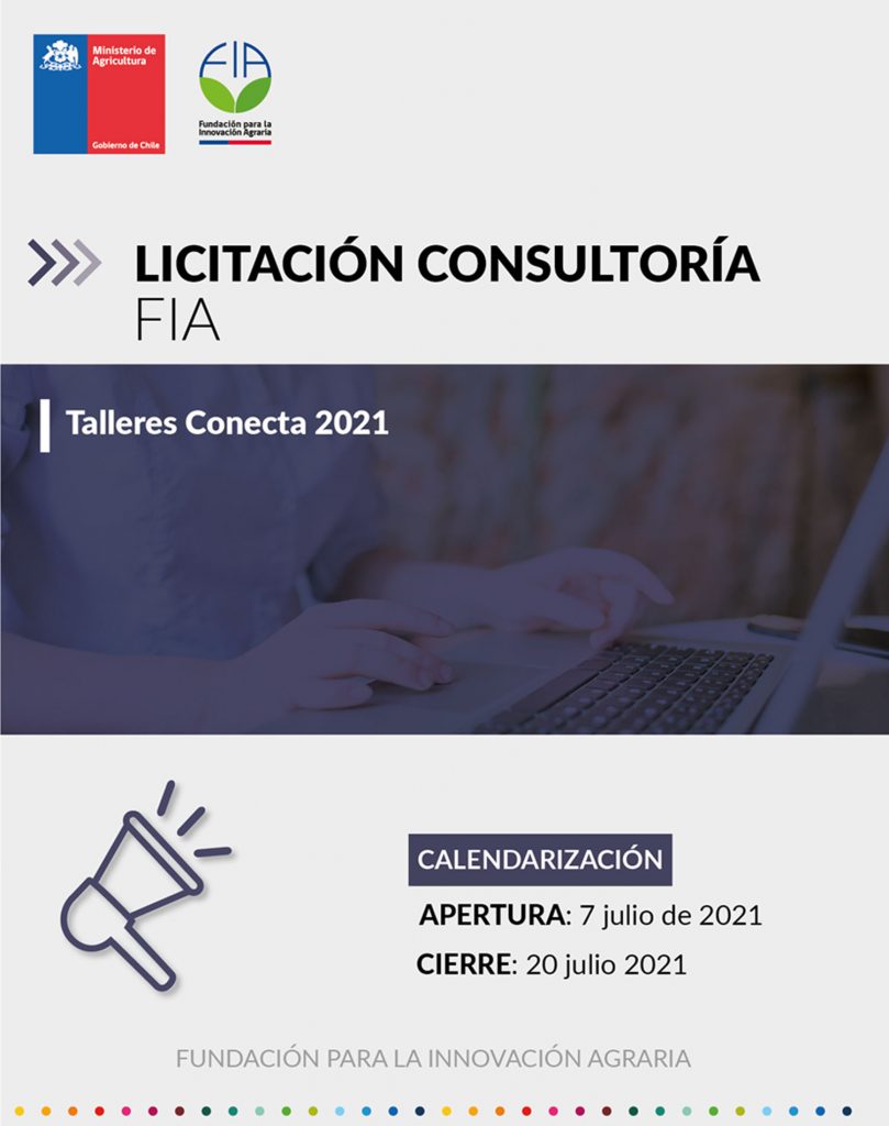 Talleres Conecta 2021