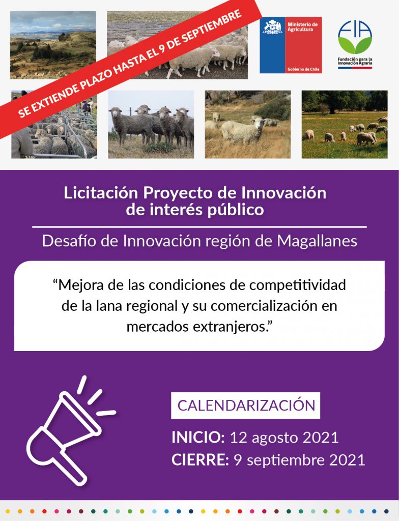Mejora de las condiciones de competitividad de la lana y su comercialización en mercados extranjeros región de Magallanes y Antártica Chilena