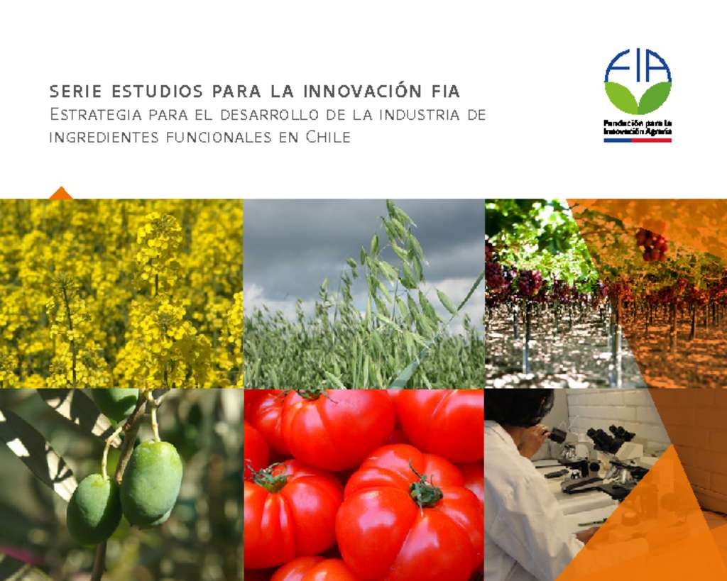 thumbnail of Estrategia para el desarrollo de la industria de ingredientes funcionales en Chile