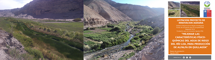 Licitación Proyectos de Innovación Agraria Antofagasta 2015 Mejorar agua de riego del Río Loa para producción de Alfalfa en Quillagüa