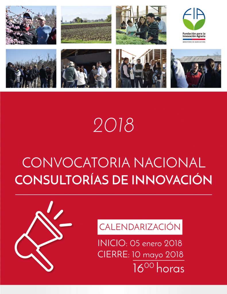 Consultorías de Innovación 2018