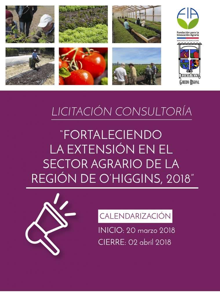 Licitación Consultoría «Fortaleciendo la extensión en el sector agrario de la región de O’Higgins 2018»