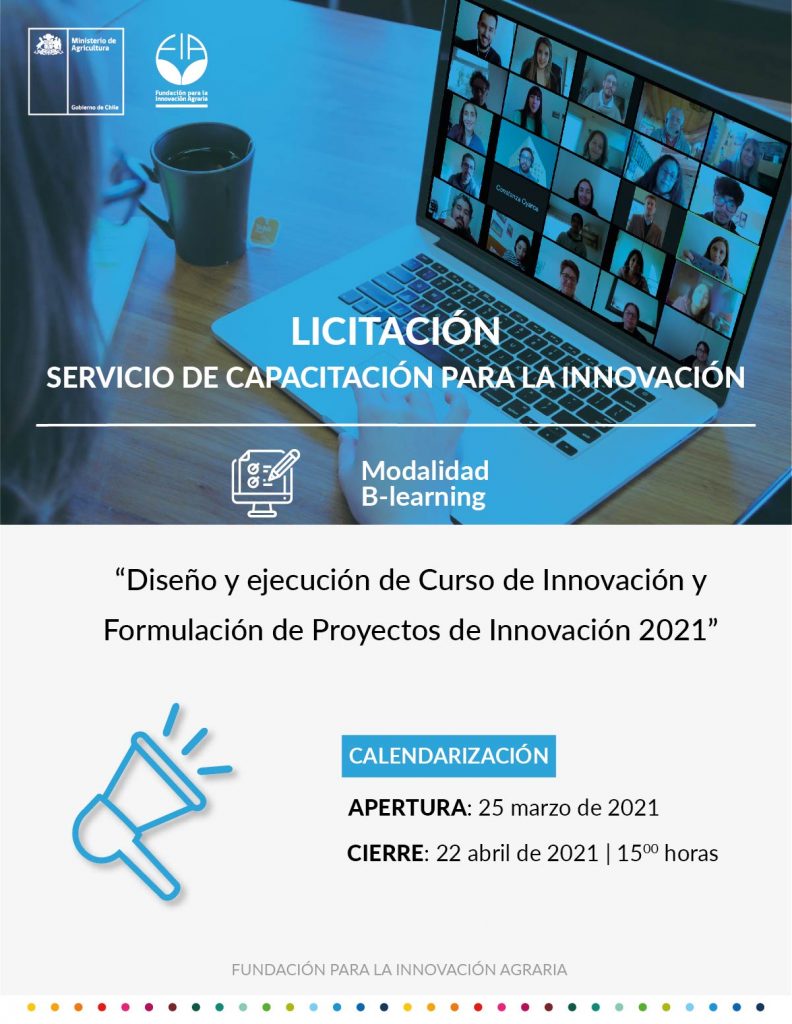 Licitación Diseño y ejecución de Curso de Innovación y Formulación de Proyectos de Innovación 2021