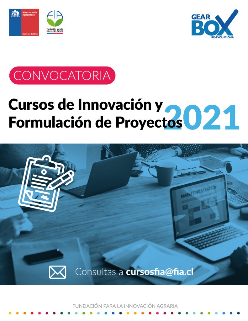 Curso de Innovación y Formulación de Proyectos 2021