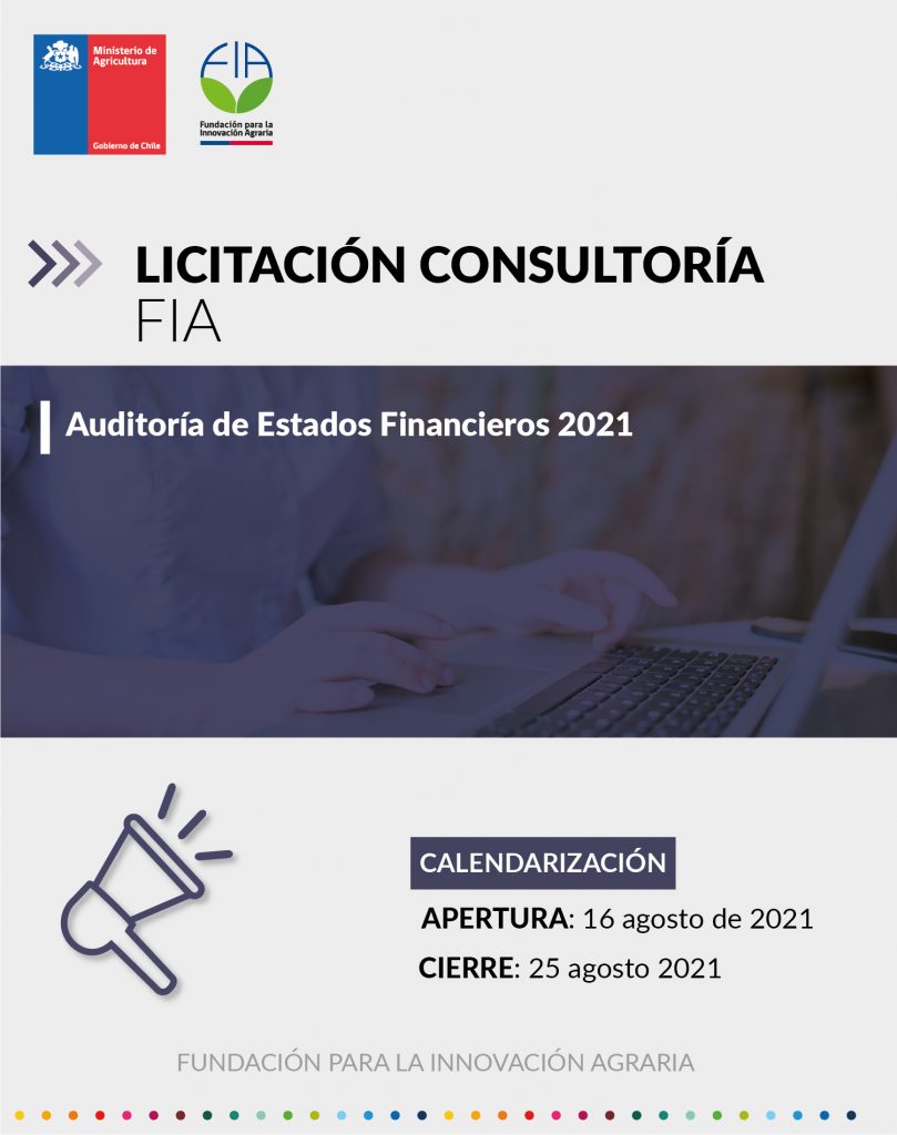 Licitación Consultoría: Auditoría de los Estados Financieros 2021