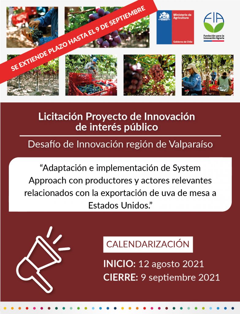 Adaptación e implementación de System Approach con productores y actores relevantes relacionados con la exportación de uva de mesa a Estados Unidos- Región de Valparaíso