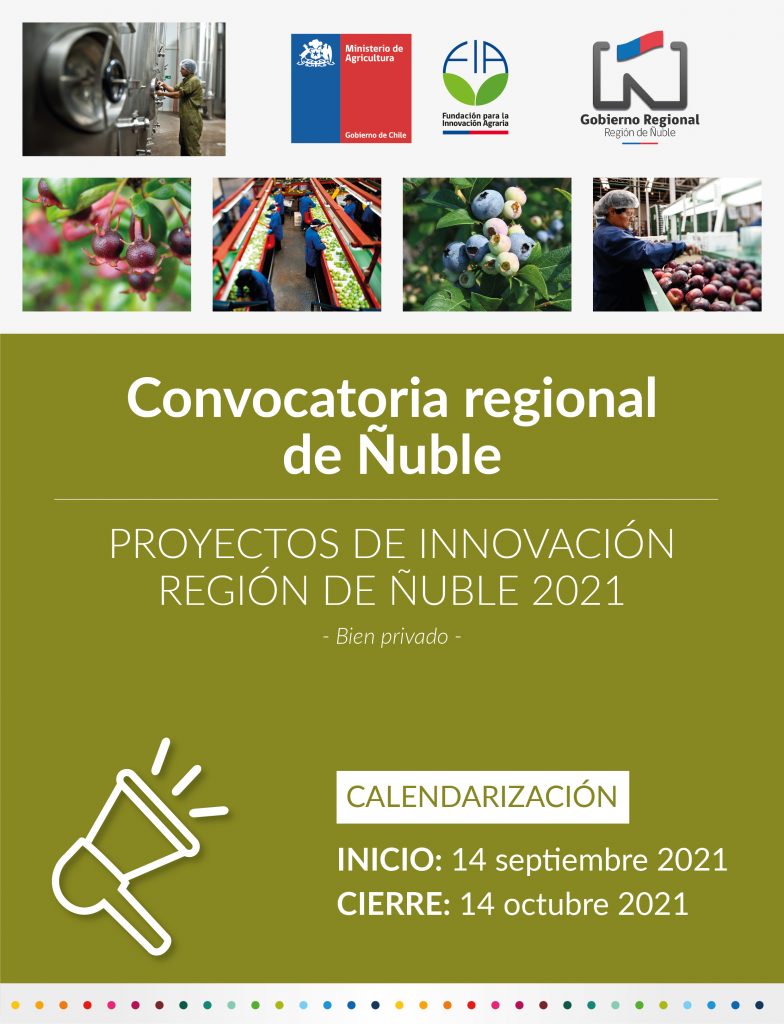 Convocatoria Regional “Proyectos de Innovación Región Ñuble»