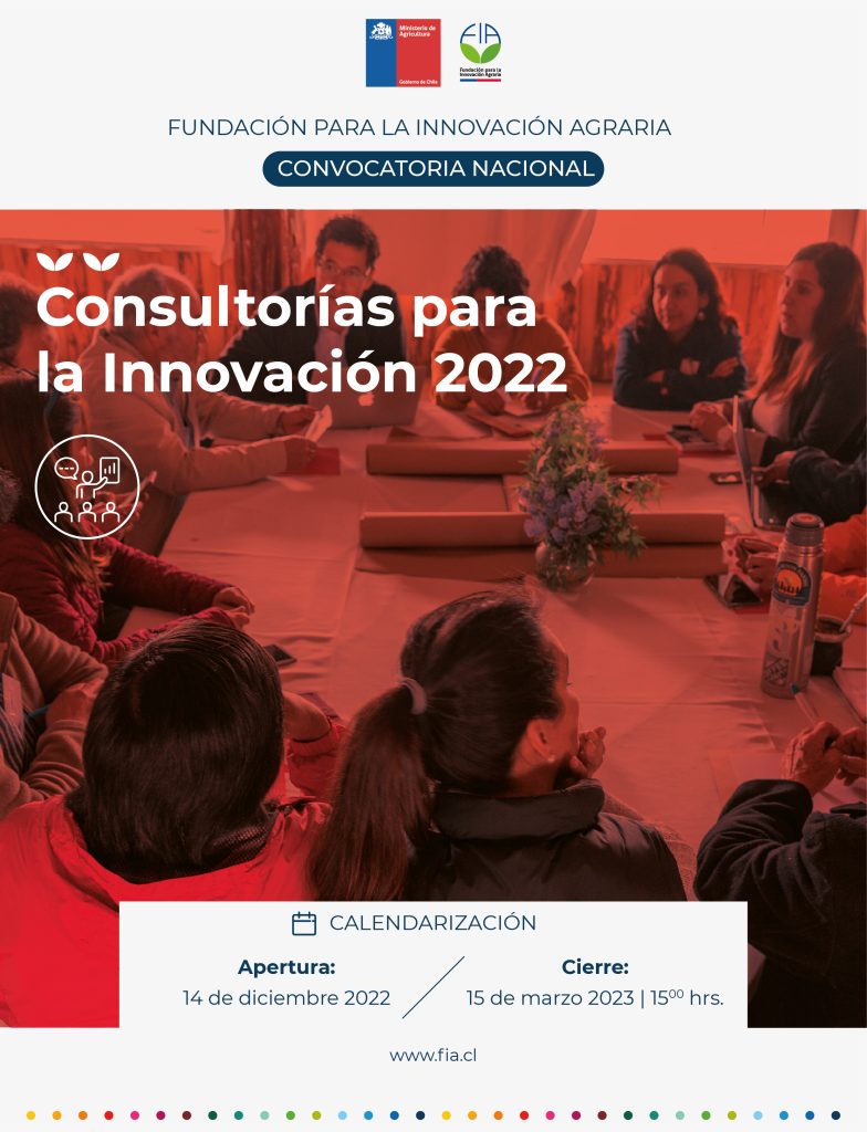 Consultorías para la Innovación 2022