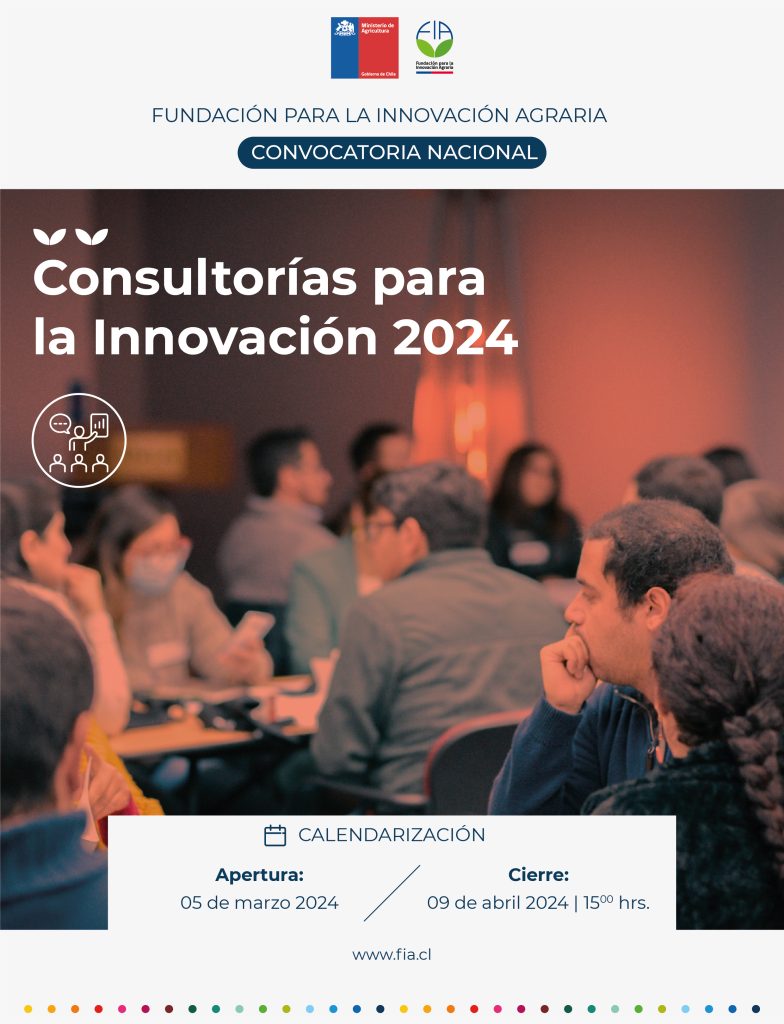 Consultorías para la Innovación 2024
