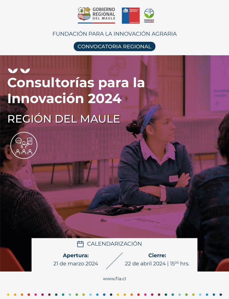 Consultorías de innovación para la Región del Maule 2024.
