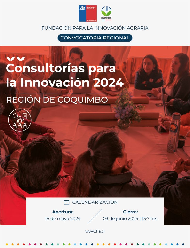Consultorías para la innovación para la Región de Coquimbo.