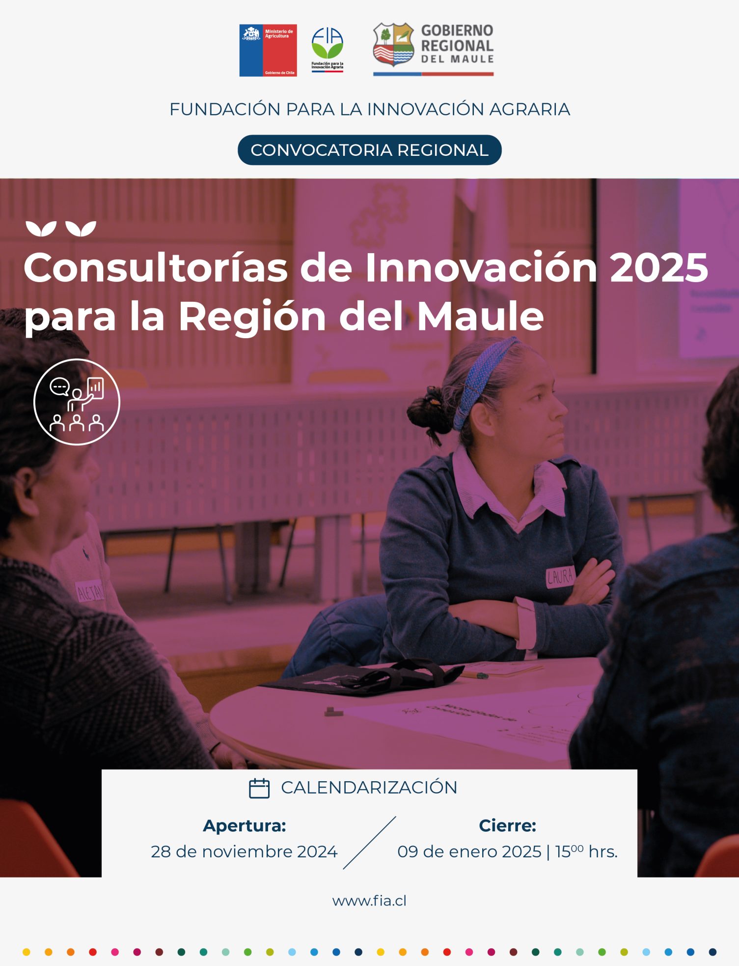 Consultorías de innovación para la Región del Maule 2025.