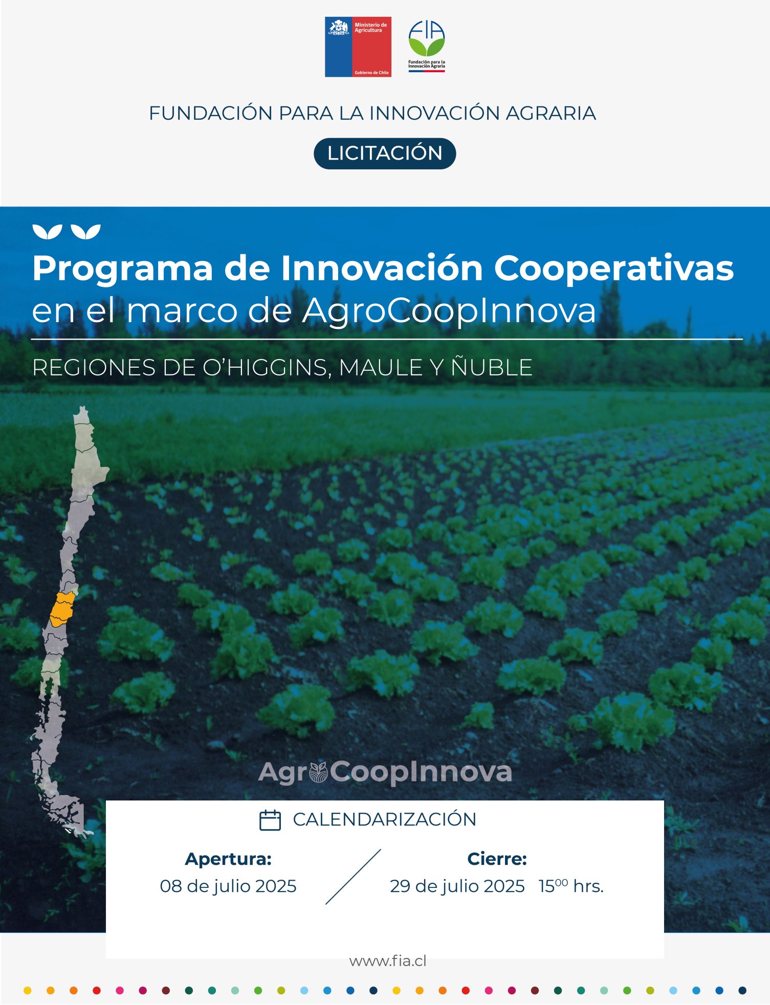 Programa de innovación cooperativas en el marco de AgroCoopInnova – regiones O´Higgins, Maule y Ñuble.
