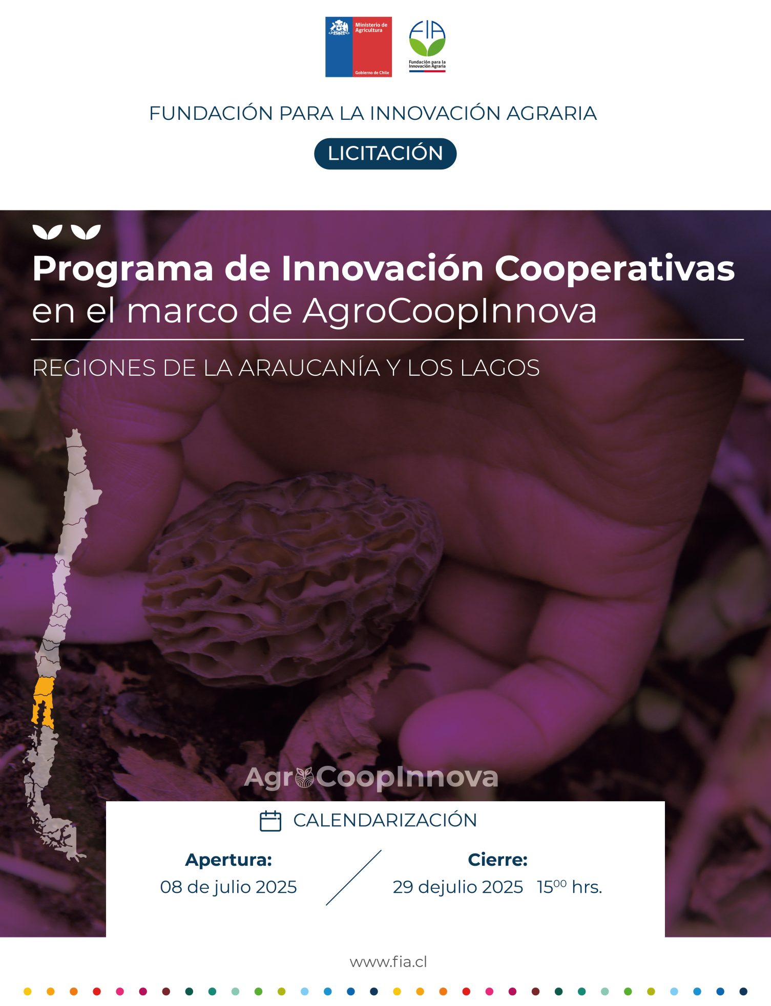 Programa de innovación cooperativas en el marco de AgroCoopInnova – regiones La Araucanía y Los Lagos.