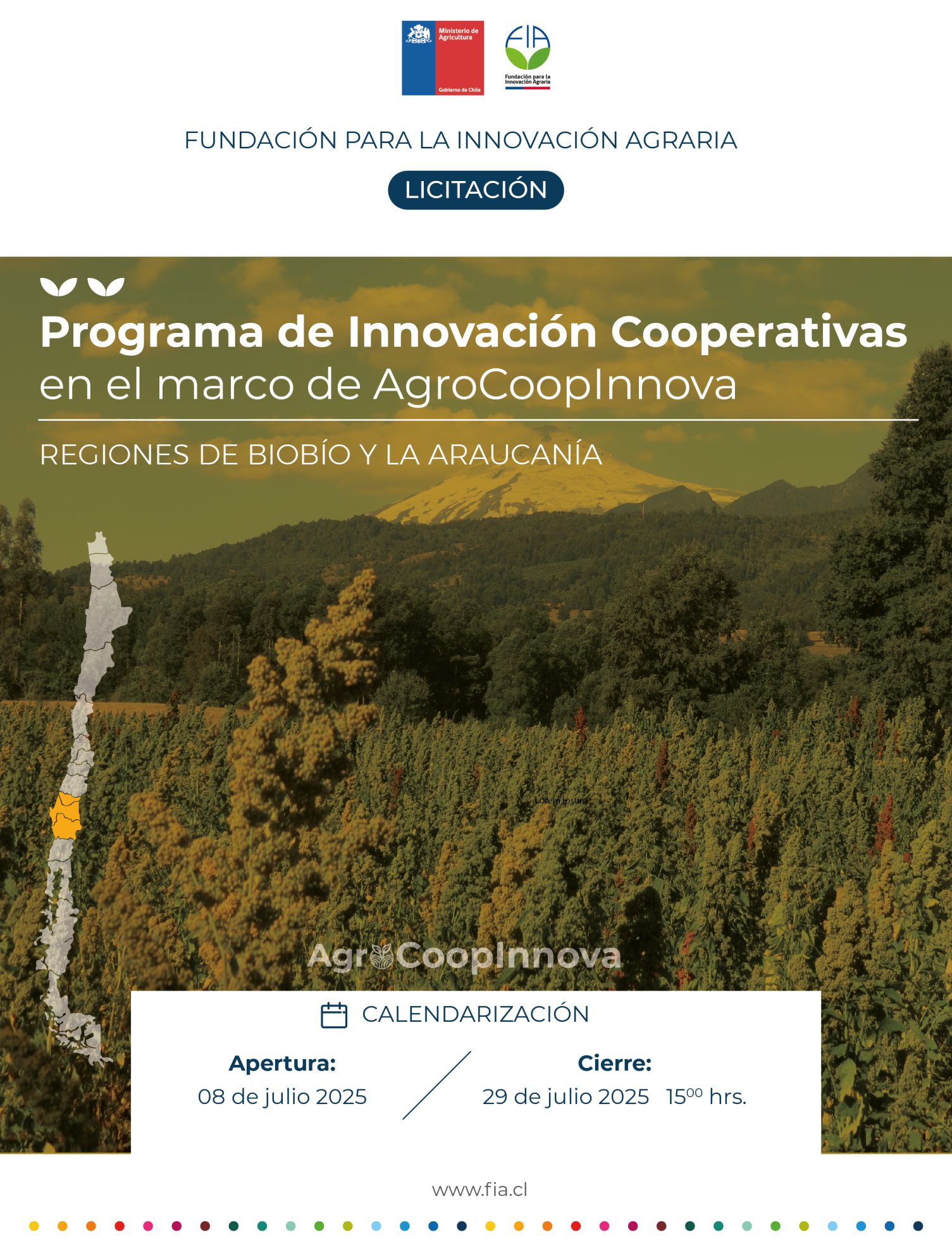Programa de innovación cooperativas en el marco de AgroCoopInnova – regiones Biobío y Araucanía.