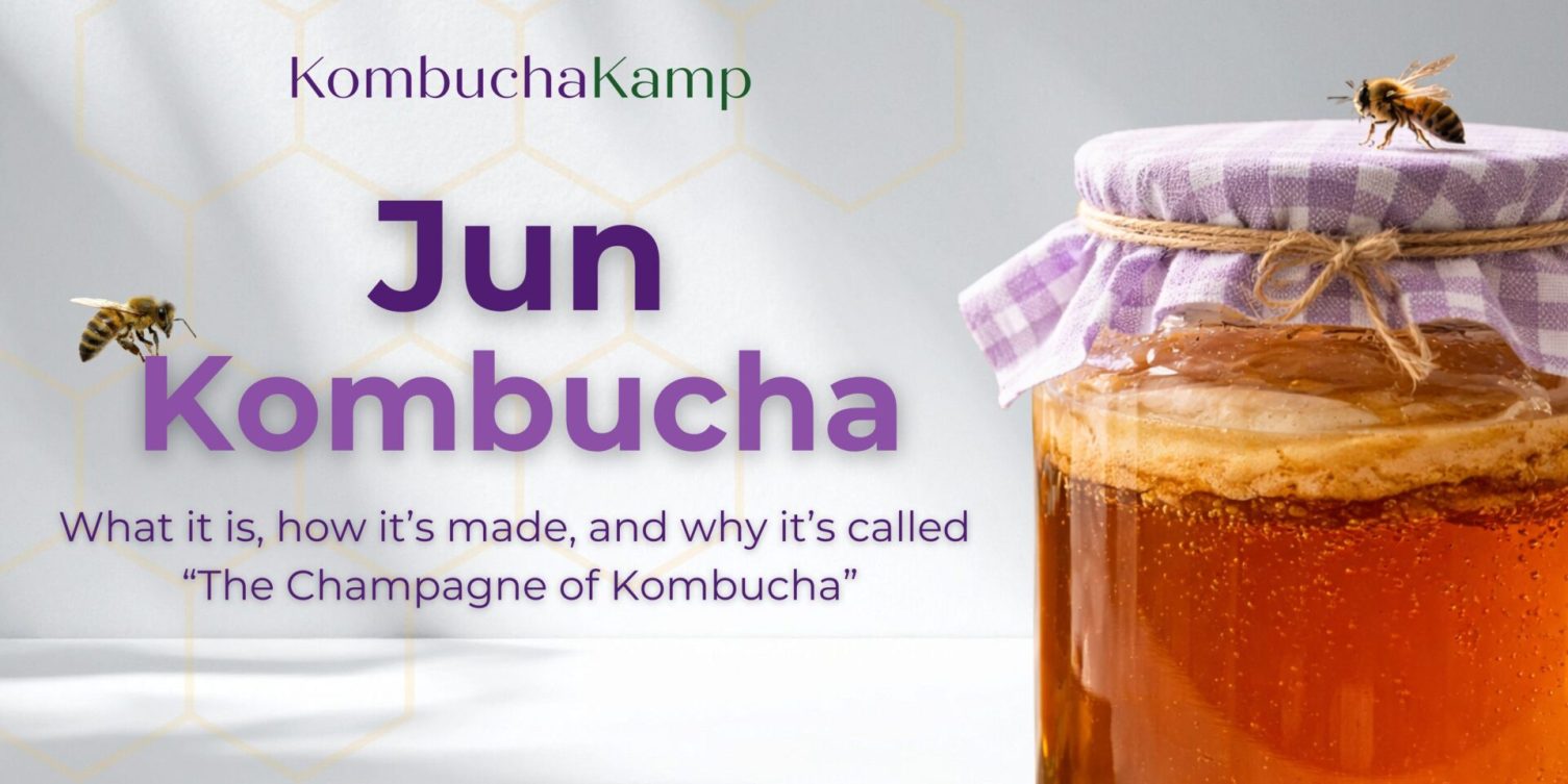 GIT-2025-0335-Gira de Innovación Apicultura a través de Sistemas Productivos de Jun Kombucha