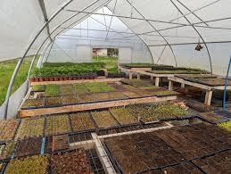 Visita PYT-2024-0098 FIA/SEREMI Energía/Alcalde Pto. Varas/Kran