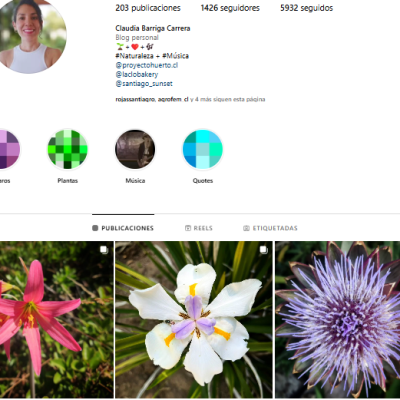 2 FLORES INSTAGRAM