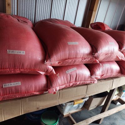 6 Granos bodega