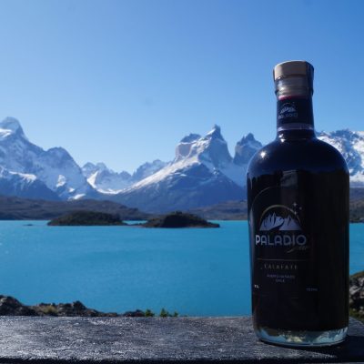 Calafate1