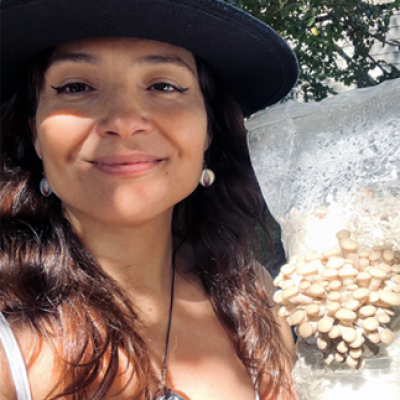 Edith Ibarra Olmedo Edith Ibarra Olmedo