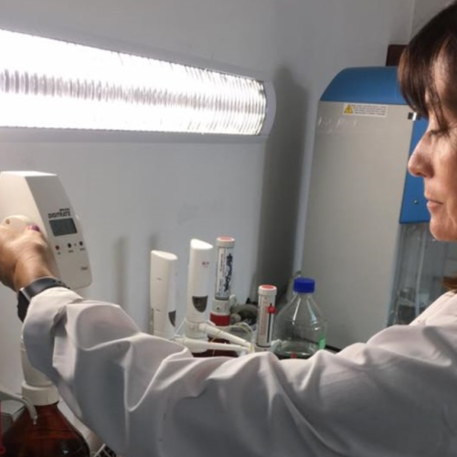 IMAGEN 1 GALERIA TARAPACA INGRID ELIZABETH POBLETE QUEZADA PROFESIONAL DEL AGRO
