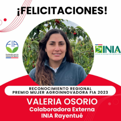 IMAGEN 1 GALERIA VARIA OSORIO