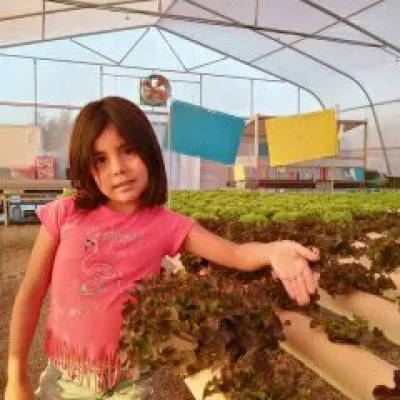 IMAGEN 2 GALERIA PAMELA PATRICIA CHANDIA MORENO TARAPACA AGRICULTORA