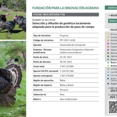 IMAGEN 4 GALERIA ARTICULO Makarena Aurora Rubilar Quezada