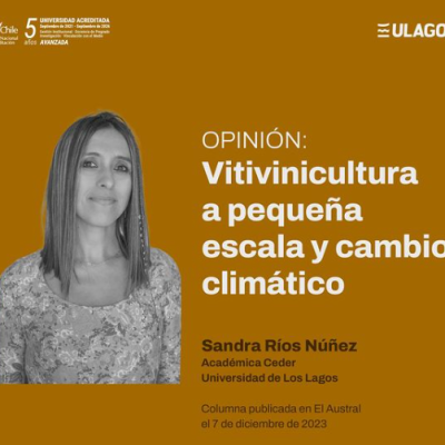 IMAGEN 6 GALERIA Sandra Margot Ríos Núñez