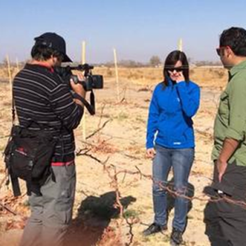 IMAGEN 6 GALERIA TARAPACA INGRID ELIZABETH POBLETE QUEZADA PROFESIONAL DEL AGRO