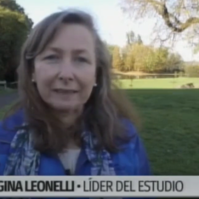 IMAGEN GALAERIA 2 Gina Natalie Leonelli