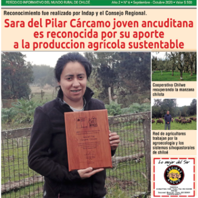 IMAGEN GALERIA 7 Sara Carcamo