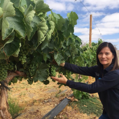 IMAGEN PRINICIPAL TARAPACA INGRID ELIZABETH POBLETE QUEZADA PROFESIONAL DEL AGRO IMAGEN PRINICIPAL TARAPACA INGRID ELIZABETH POBLETE QUEZADA PROFESIONAL DEL AGRO