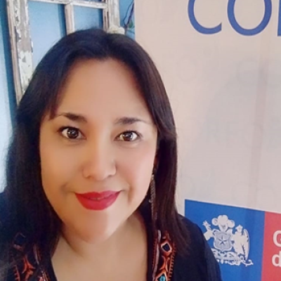 Karen Aguilera Cartes Karen Aguilera Cartes