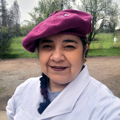 Marcela Sepulveda Rojas Marcela Sepulveda Rojas